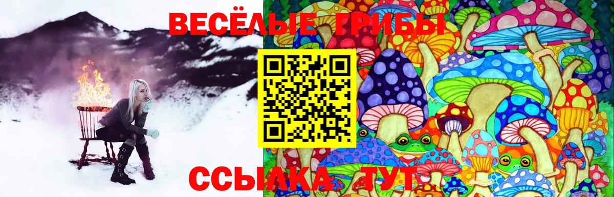 Псилоцибиновые грибы Magic Shrooms Асбест